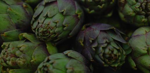 Artichoke Extract