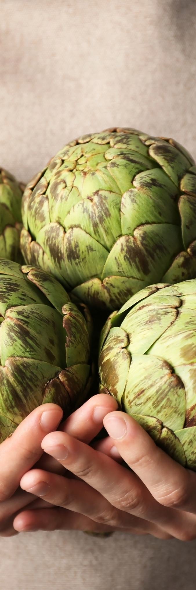 holding artichokes