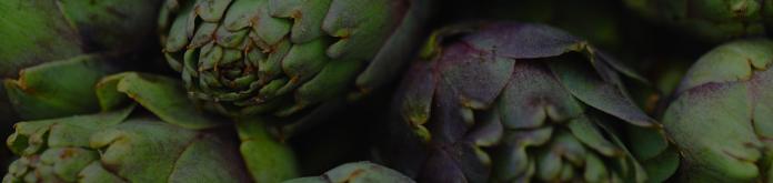 Artichoke Extract