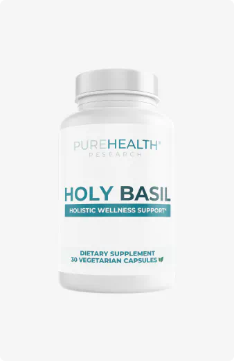 Holy Basil