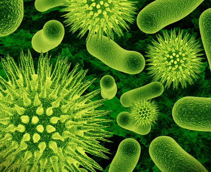 A microscopic 3D rendering of viruses and bacteria, highlighting the importance of immune system supplements.