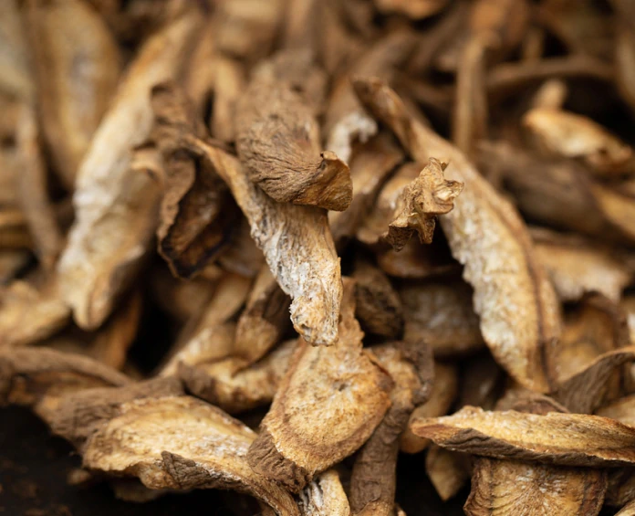 A close-up of dried medicinal mushrooms, often found in lymph system supplements to support overall wellness.