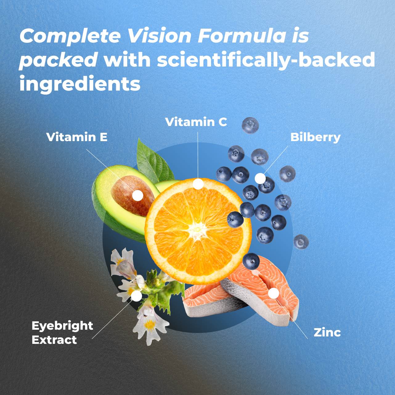 Complete Vision Formula ingredients list: Vitamin E, Vitamin C, Bilberry, Zinc, Eyebright Extract