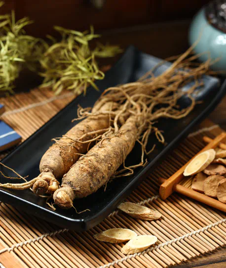 ginseng