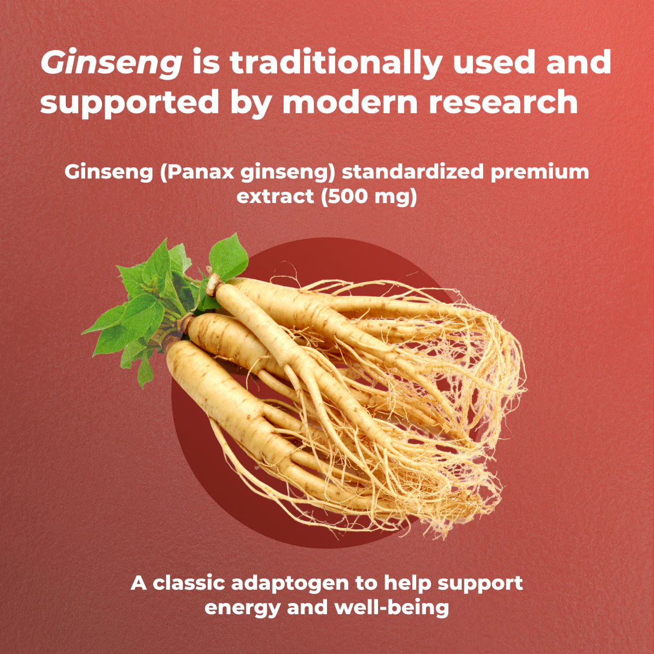 Ginseng