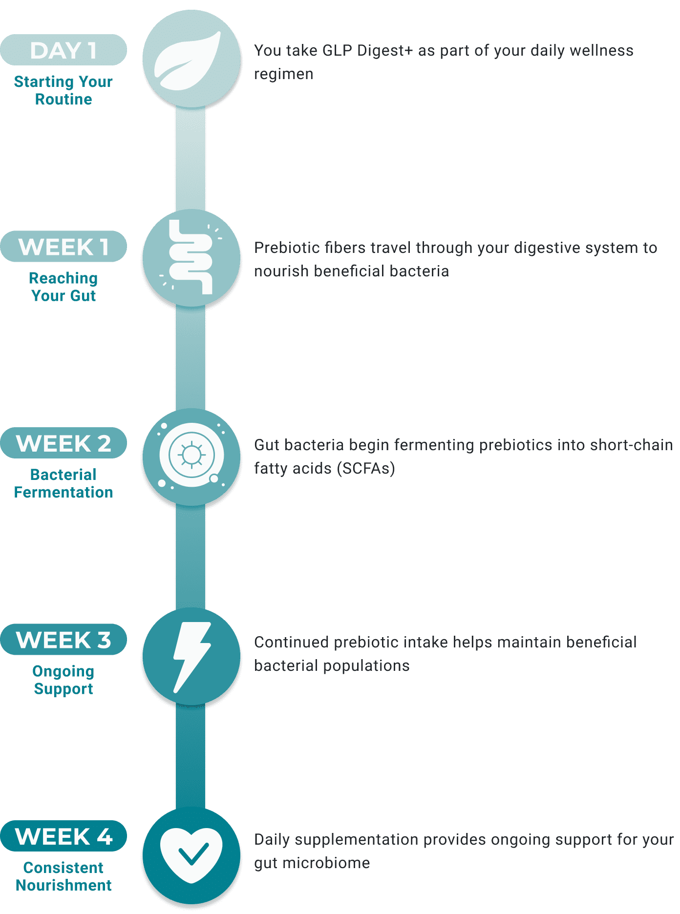 NOTICE THE DIFFERENCE IN YOUR DAILY ROUTINE