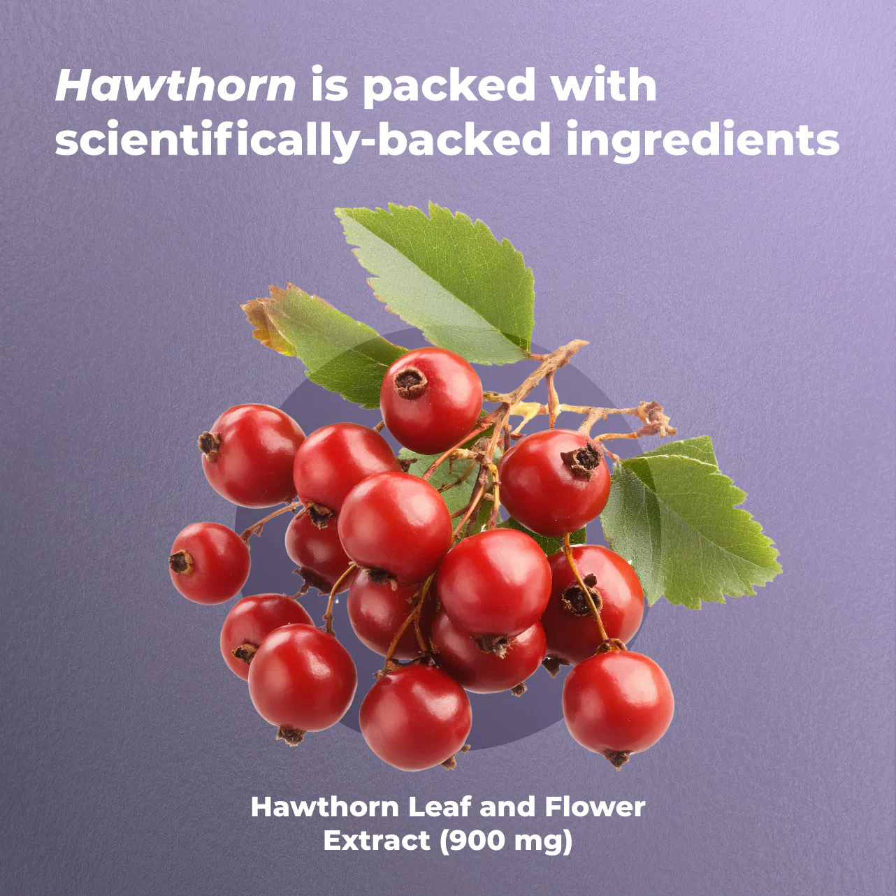 Hawthorn
