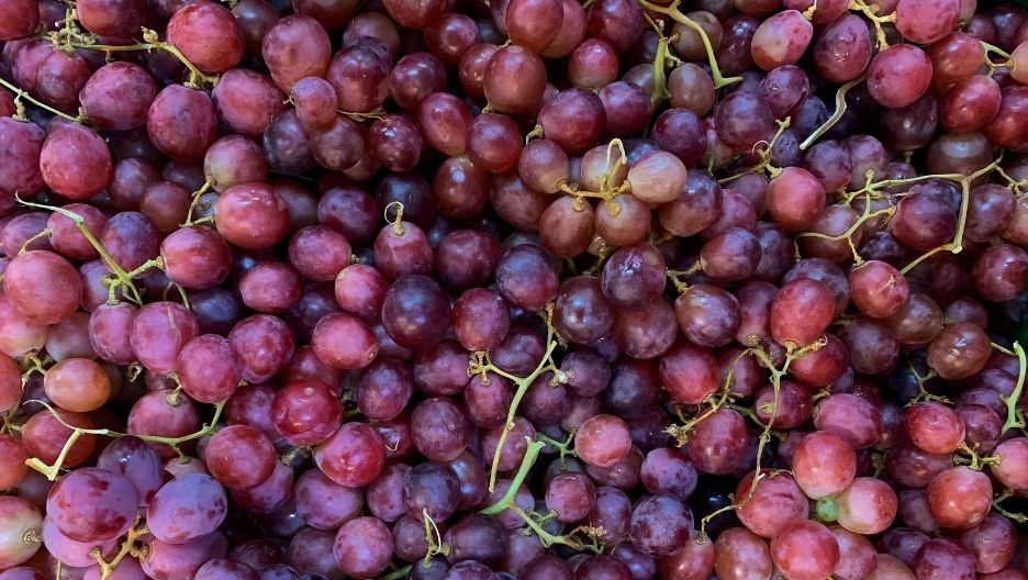 Close-up photo of grapes