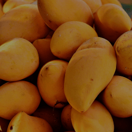 African Mango