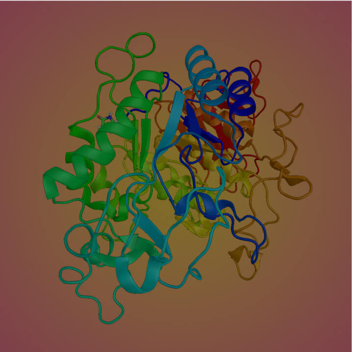 Amylase