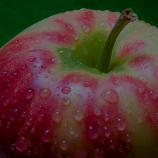 Apple Pectin