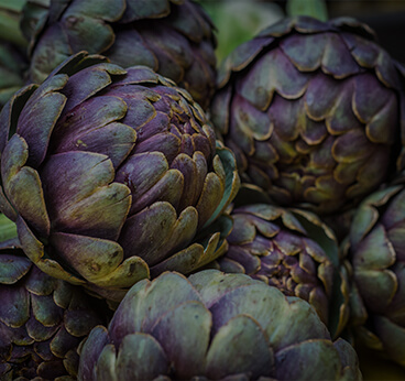 Artichoke Extract