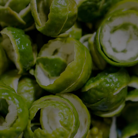 Bergamot Skin Extract<br class='br1'> (polyphenols)