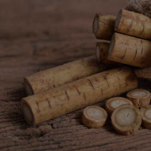 Burdock Root Powder