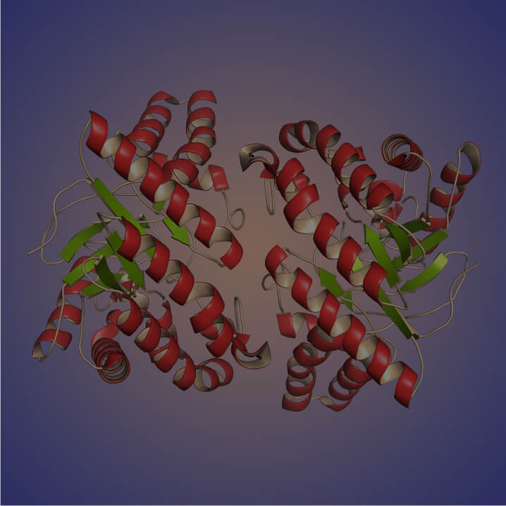 Cellulase