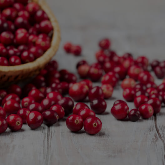 Cranberry Fruit Extract