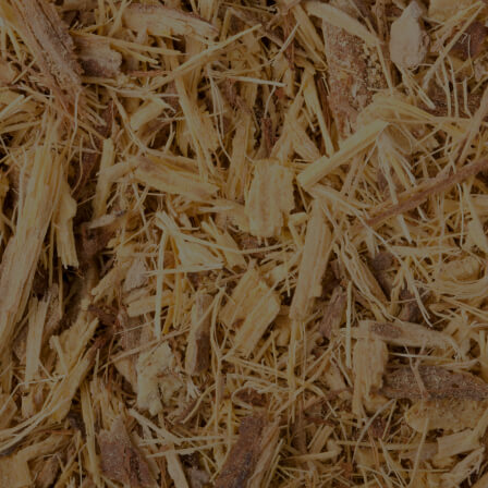 Deglycyrrhizinated Licorice Root Extract