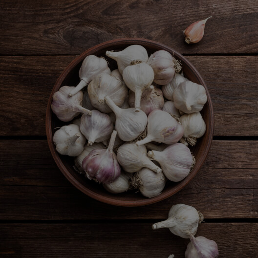 Garlic extract