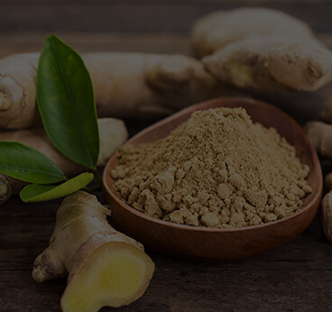 Ginger