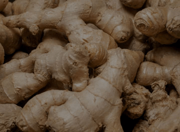 Ginger