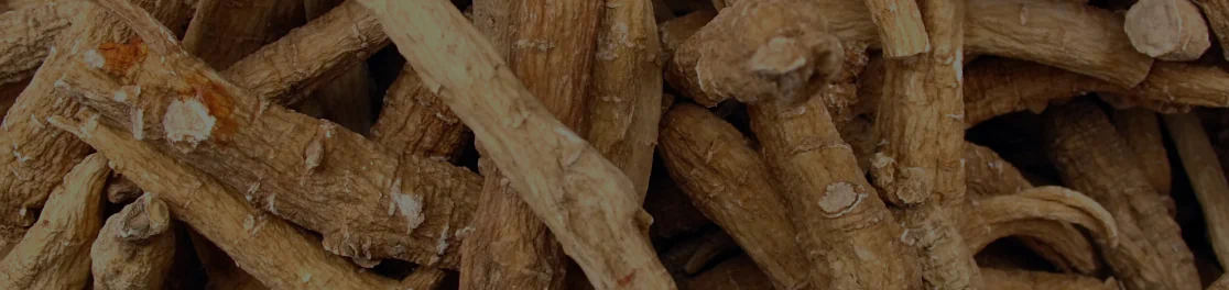 Ginseng Extract (500 mg standardized to 20% ginsenosides)