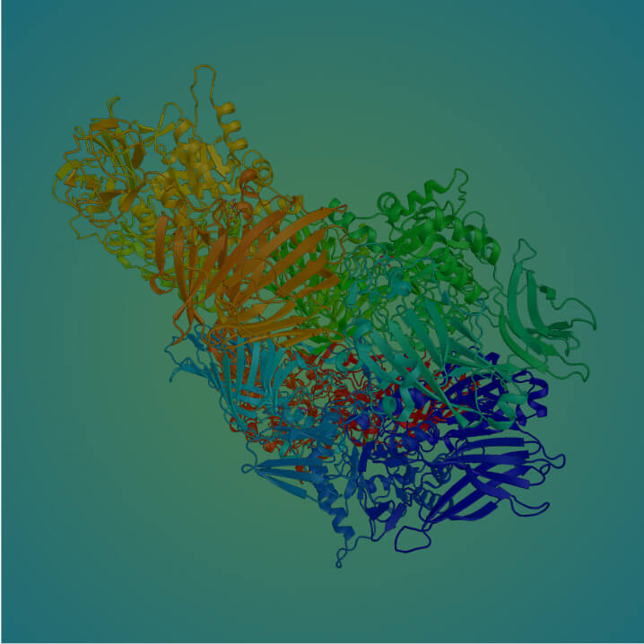 Lactase