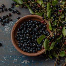 Maqui Berry