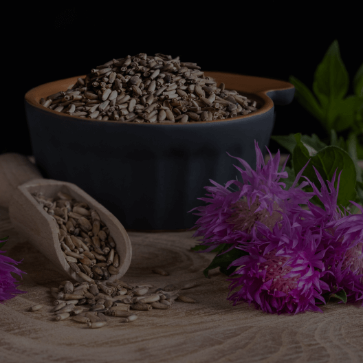 Milk Thistle Seed Extract