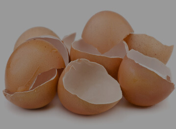 NEM® (Natural Eggshell Membrane)