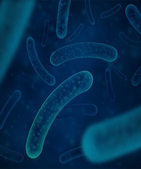 PROBIOTIC & PREBIOTIC BLEND