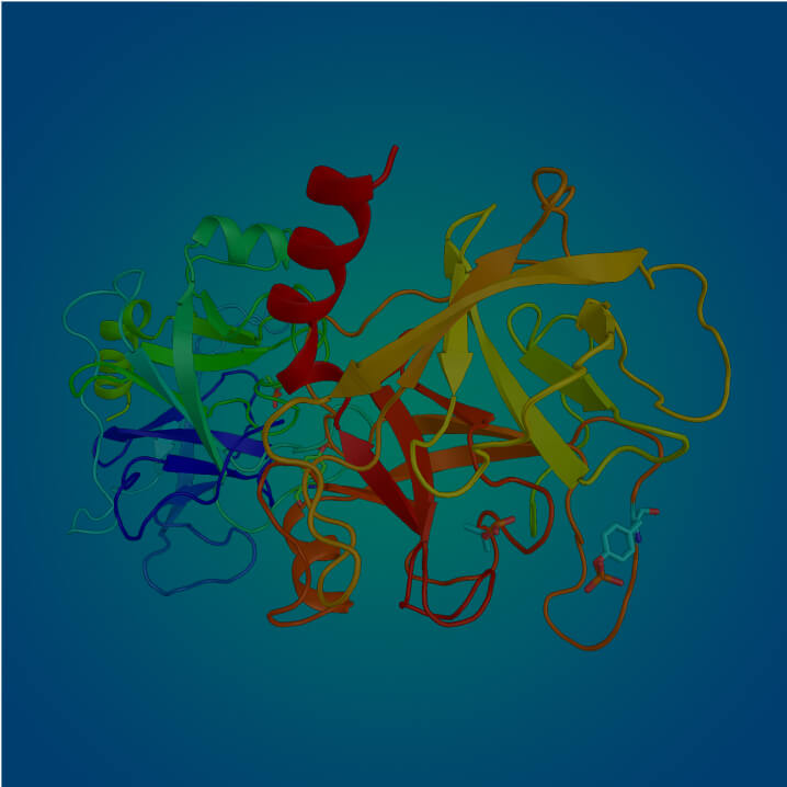Protease