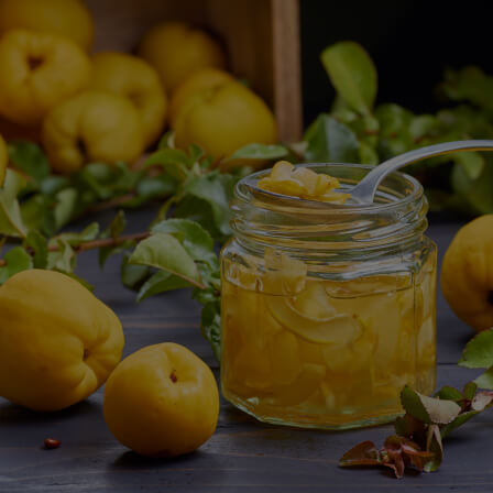 Quince Fruit Extract