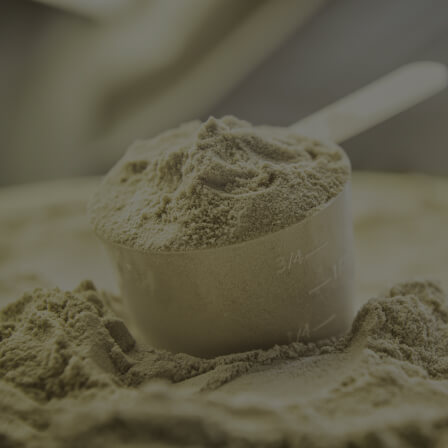 Sodium Alginate