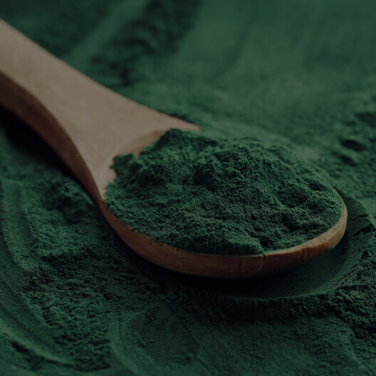 SPIRULINA ALGAE