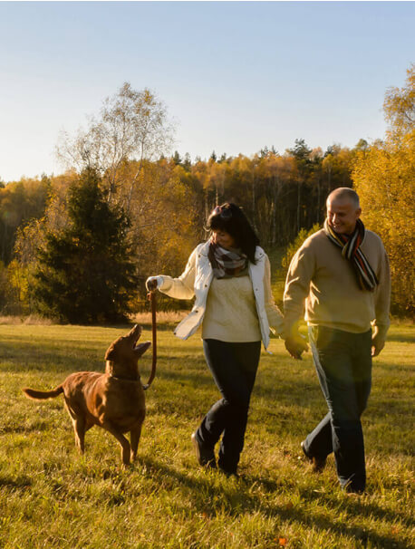 couple walking a dog