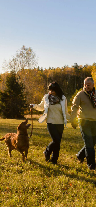 couple walking a dog