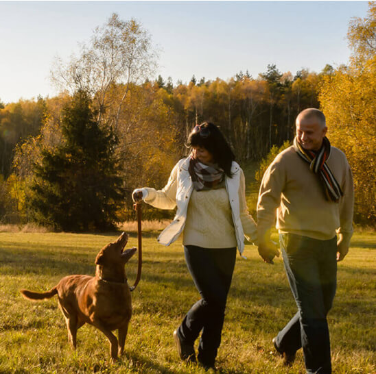 couple walking a dog