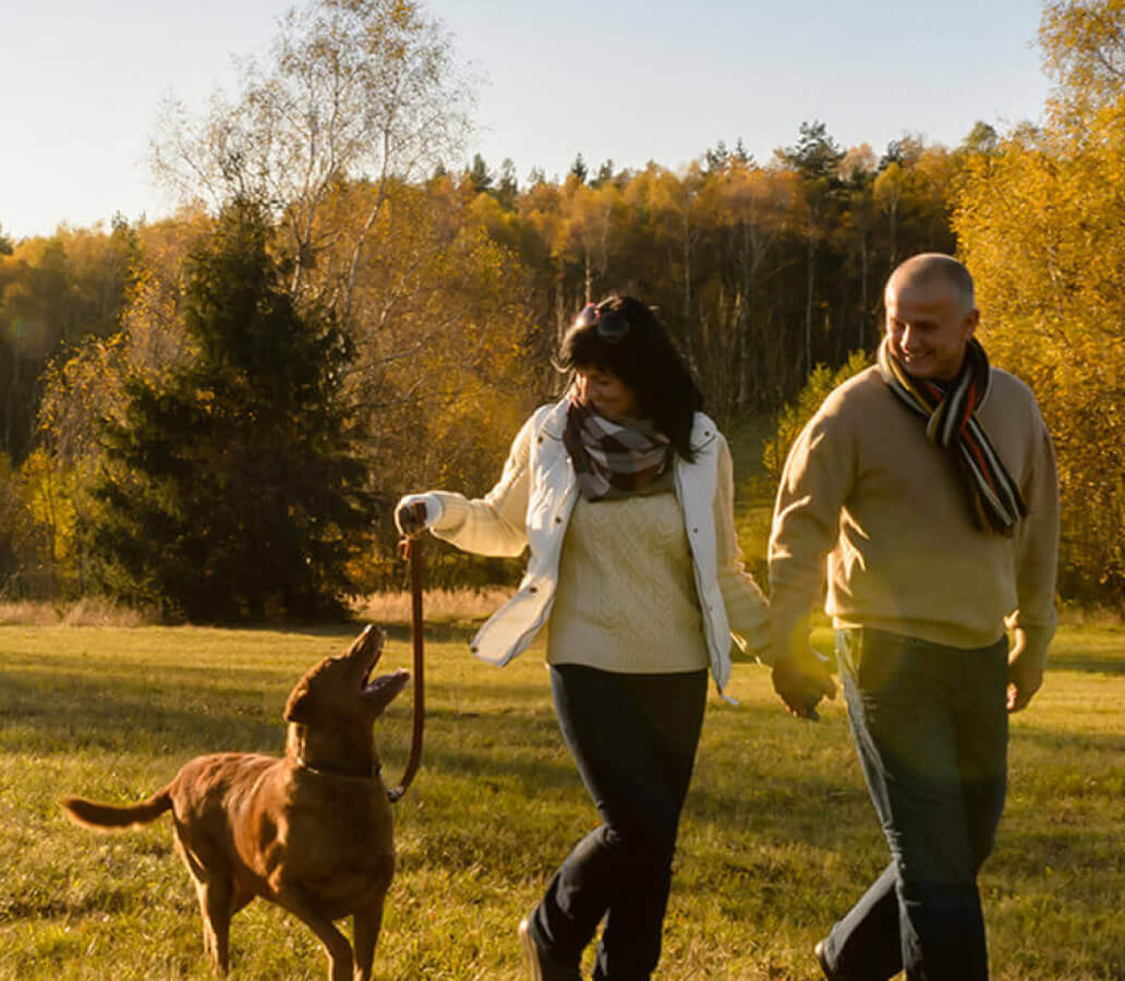 couple walking a dog