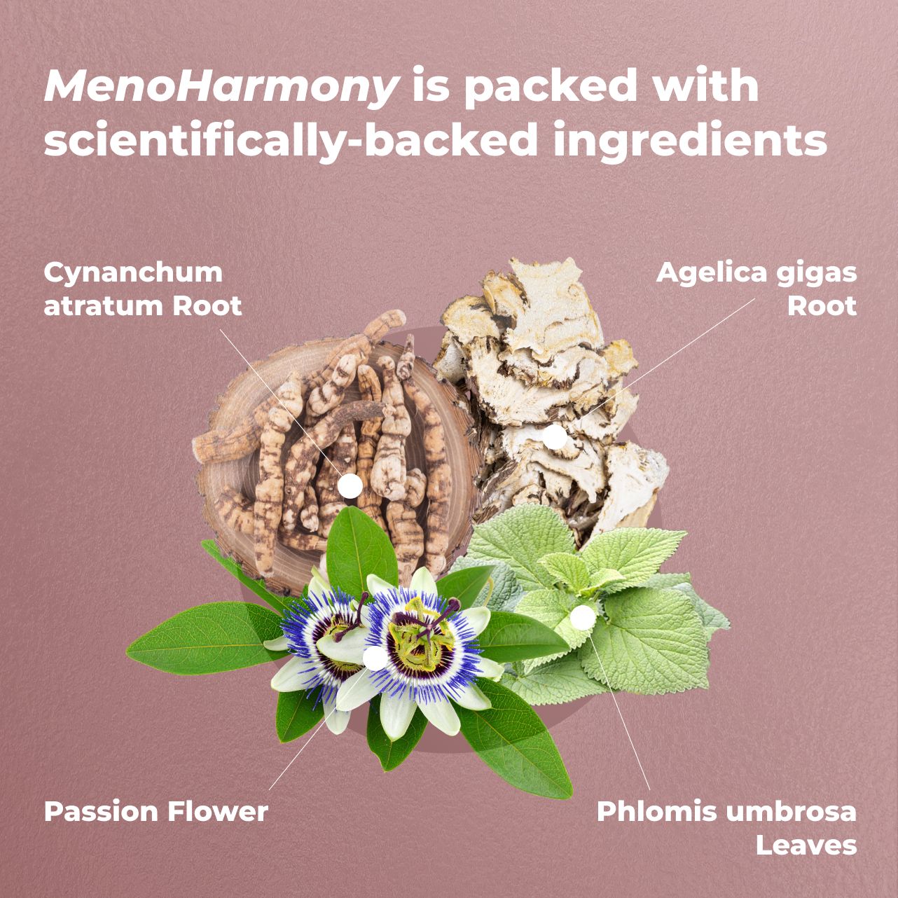 MenoHarmony