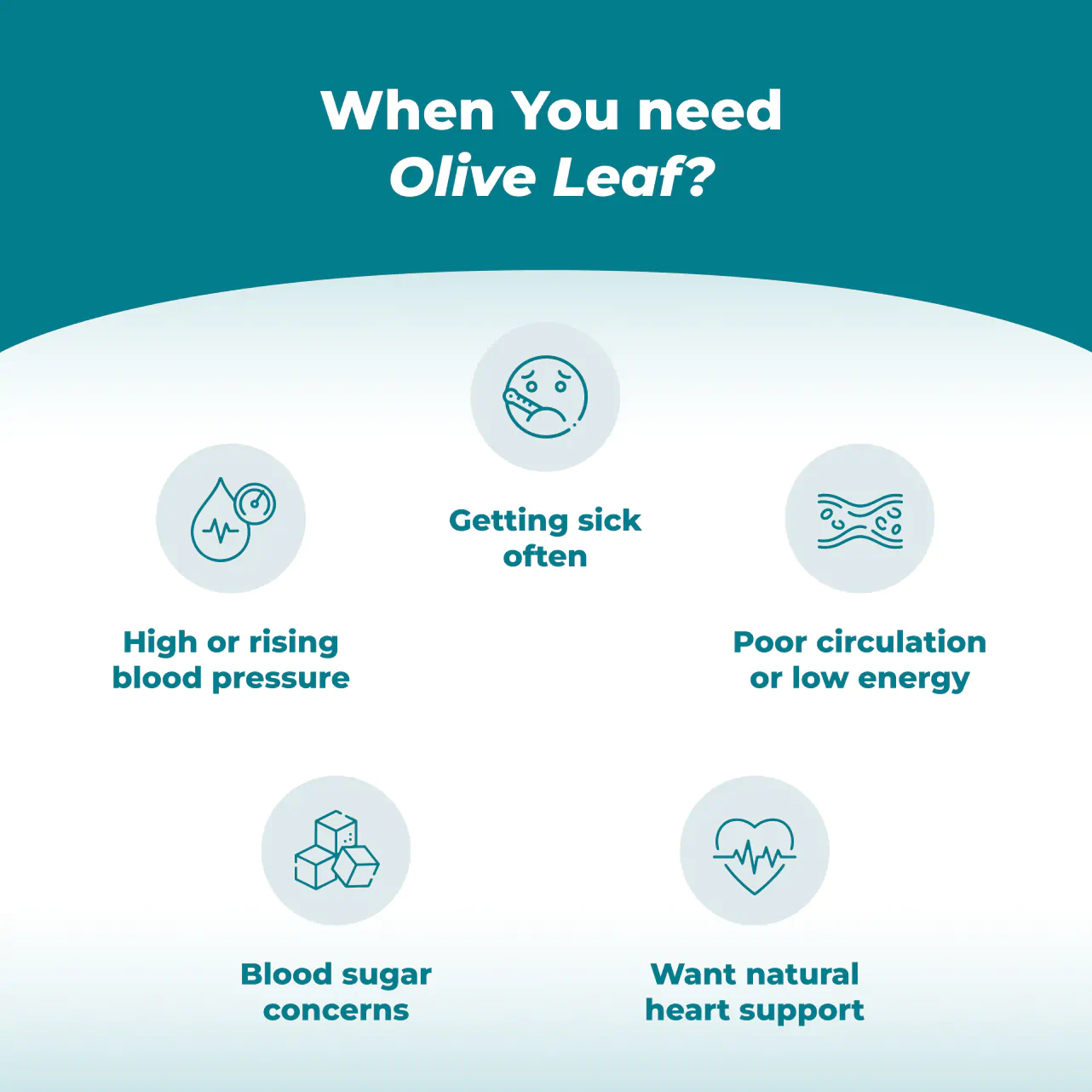 Olive Leaf