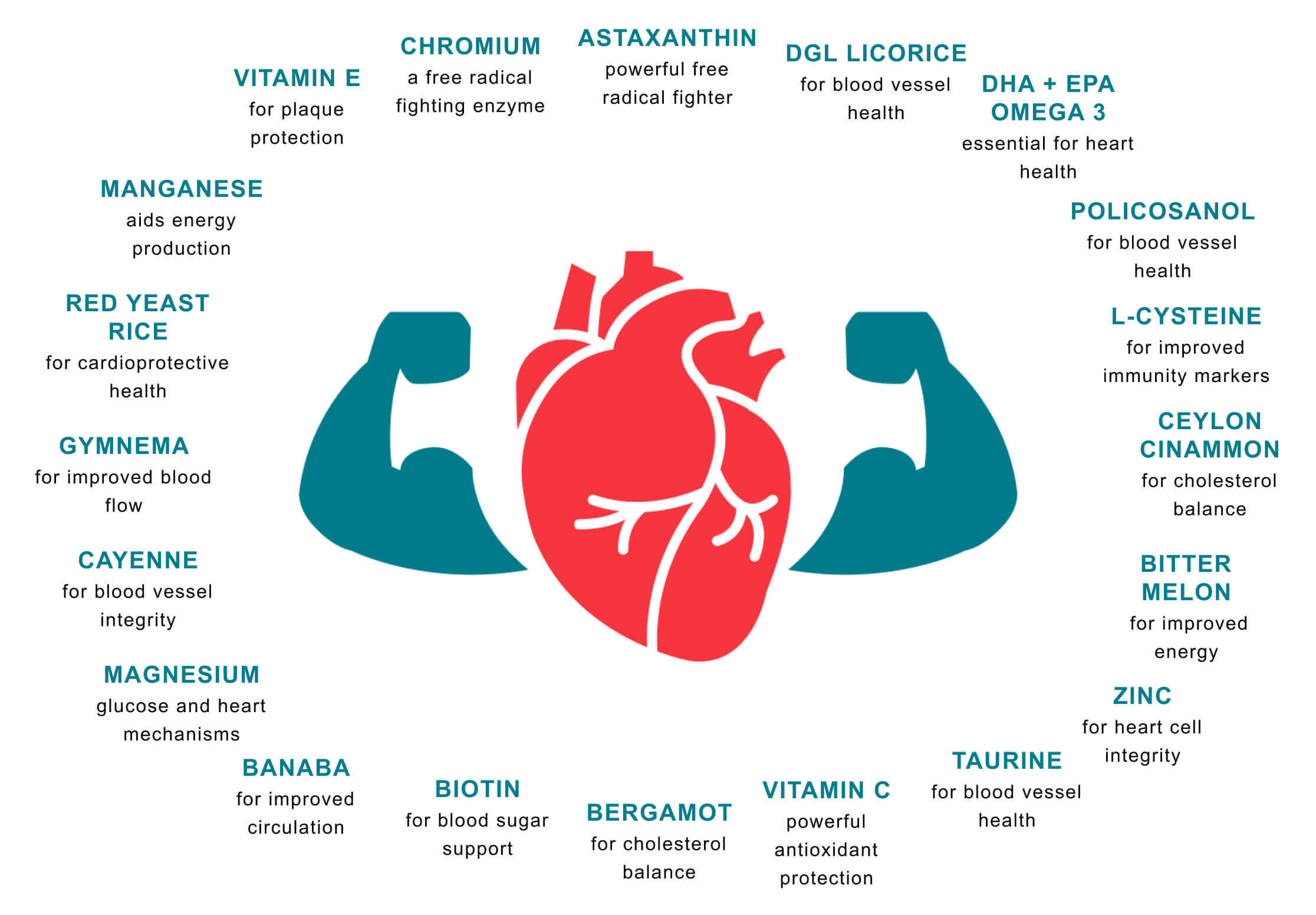 scientifically proven nutrients